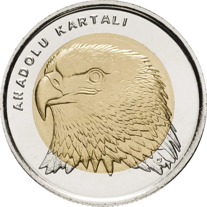 Anadolu Kartalı